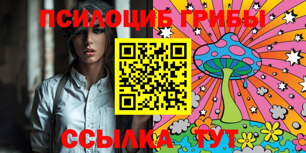 Кисловодск  Псилоцибиновые грибы Cubensis  Вход с VPN 